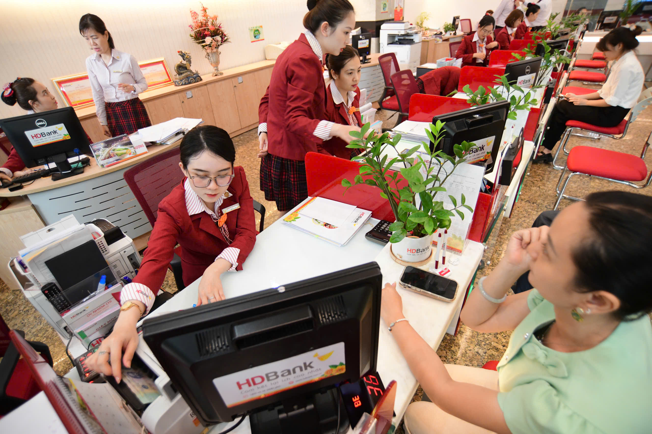 trợ giúp xã hội - Ảnh 3.