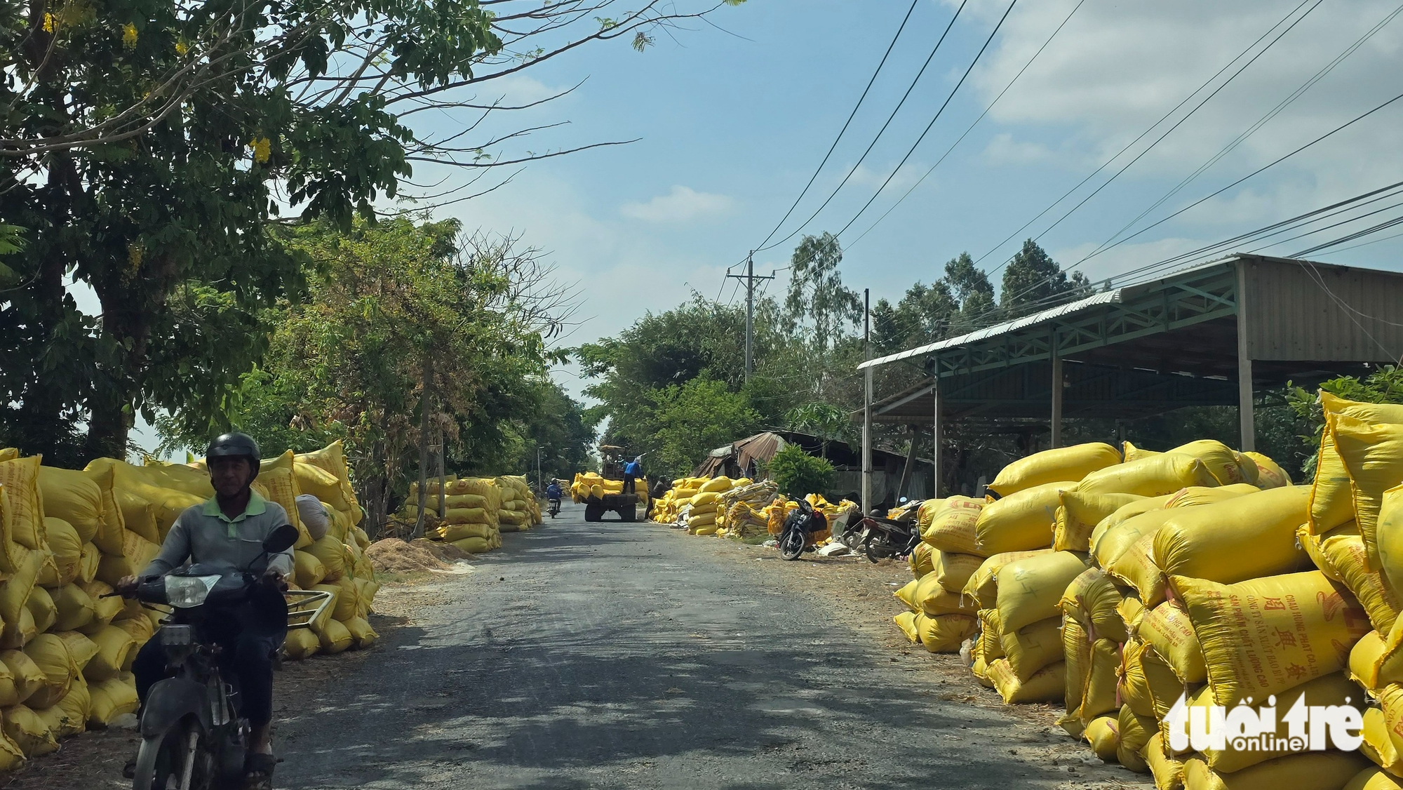 xăng dầu - Ảnh 3.