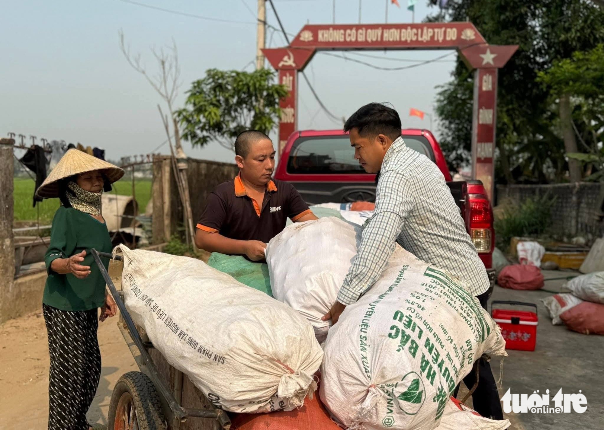 con khờ - Ảnh 4.