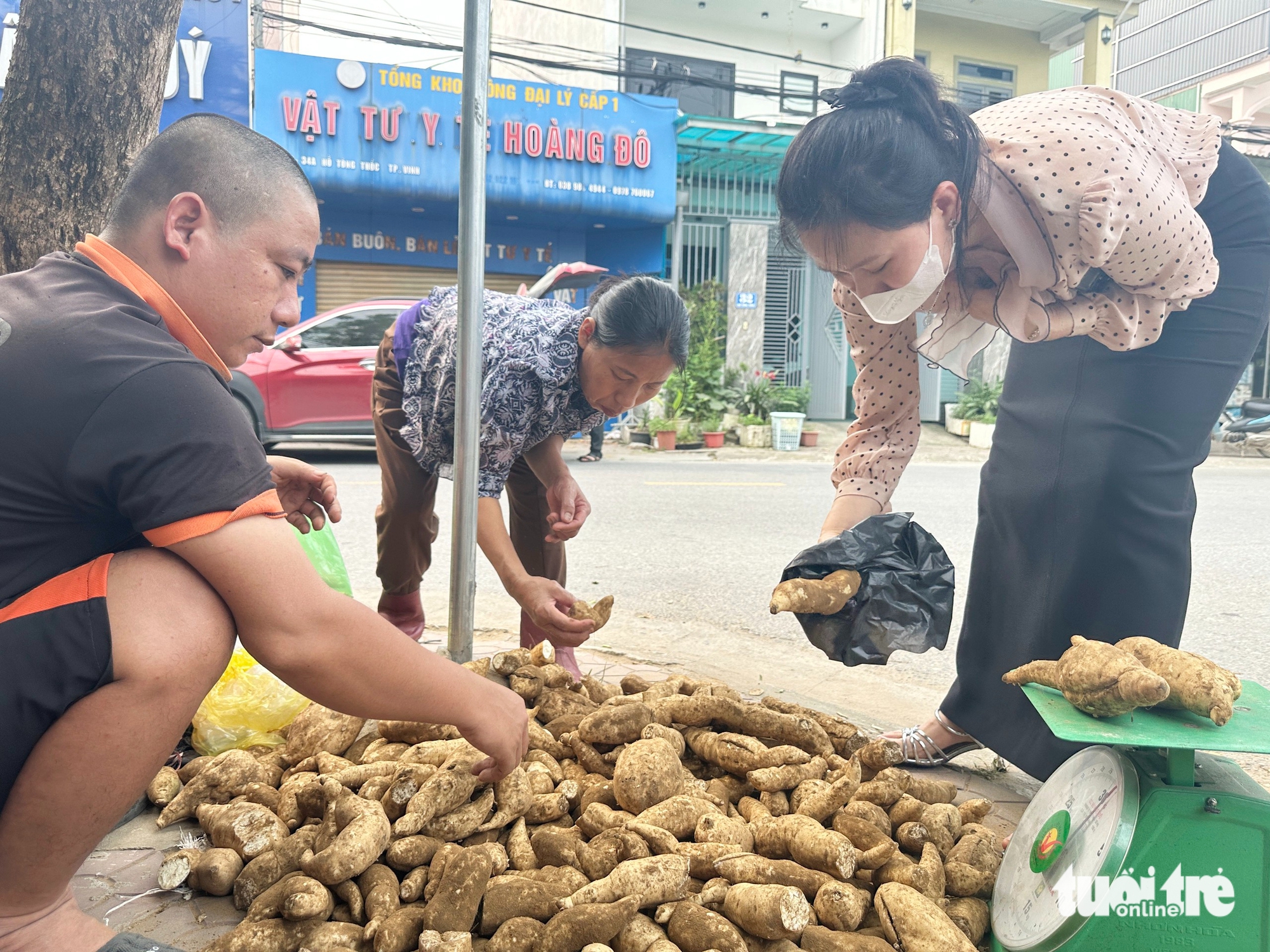 con khờ - Ảnh 5.