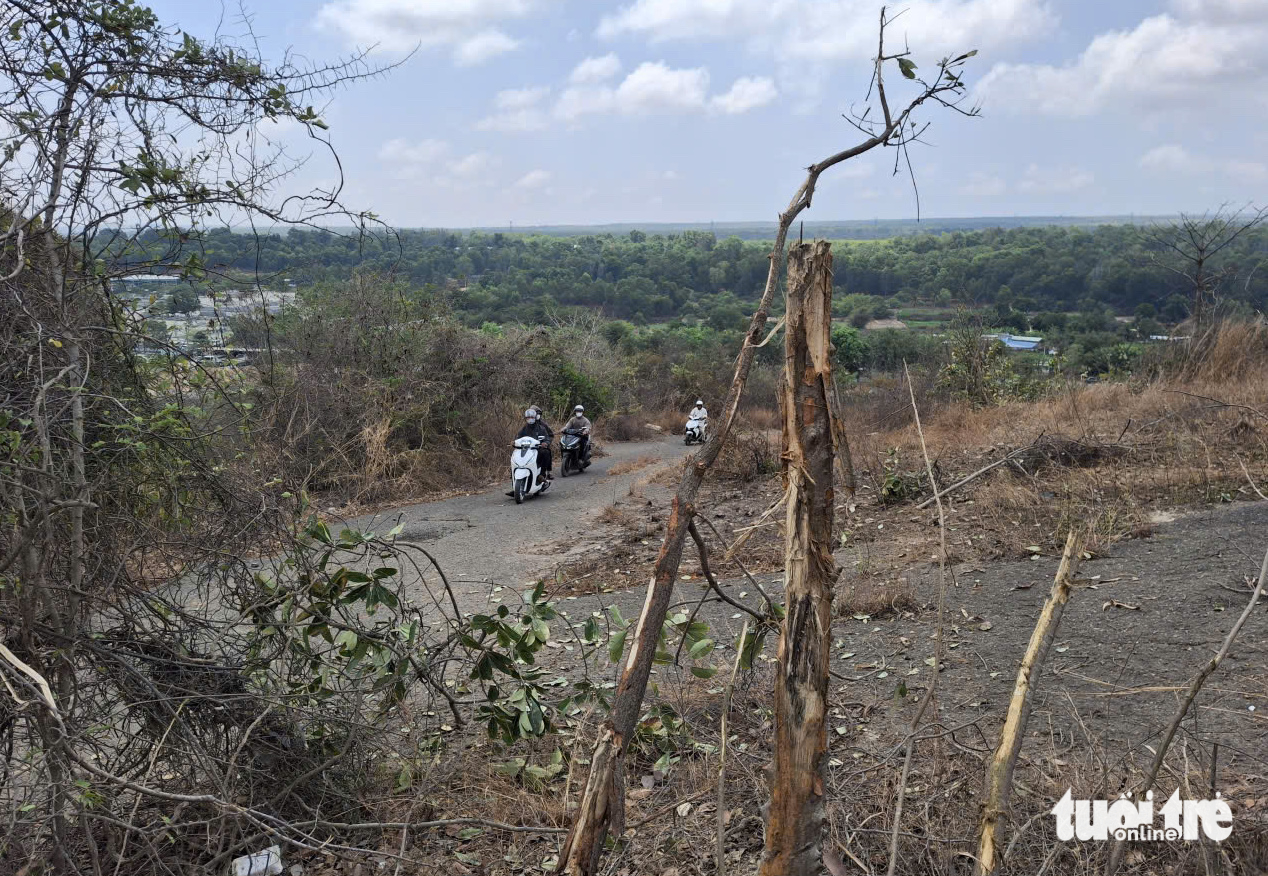 Hiện trường vụ xe tải lao trên núi Tà Zôn xuống vực, 3 người chết - Ảnh 4.