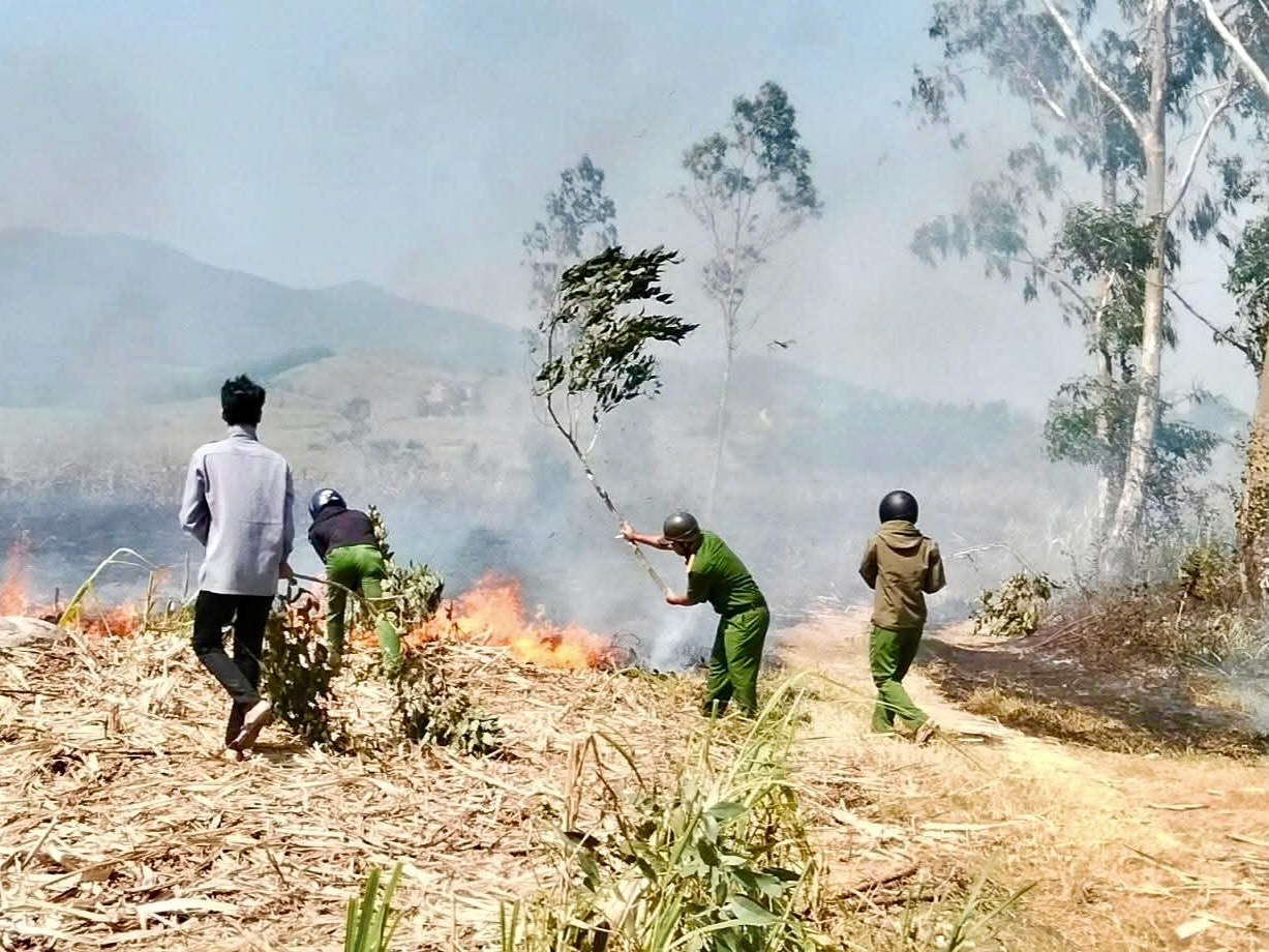 cháy mía - Ảnh 5.