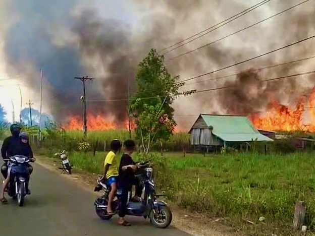 cháy mía - Ảnh 6.