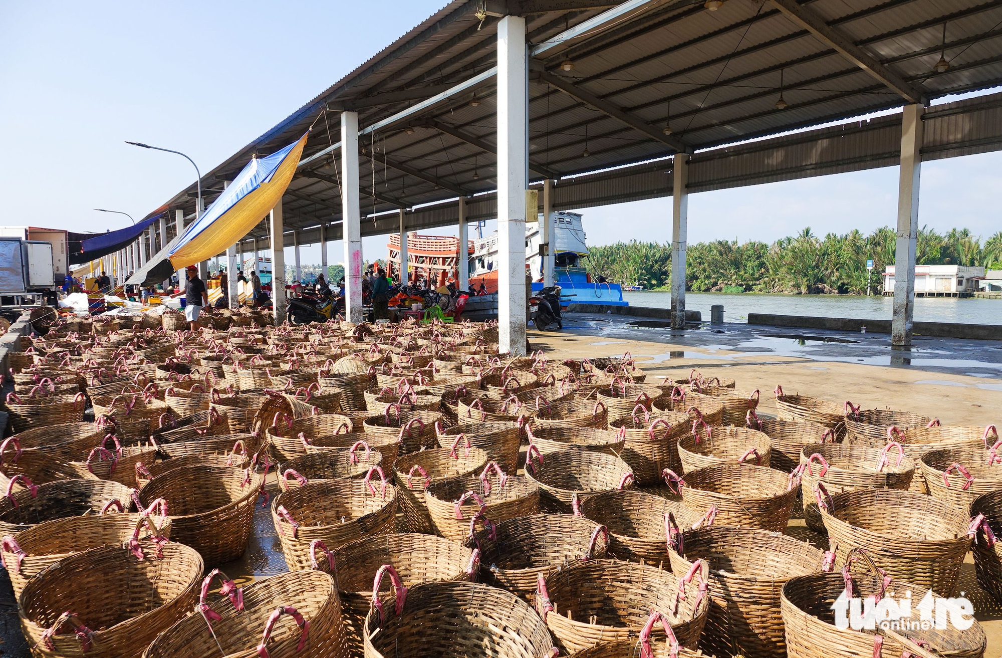 'Siêu' cảng cá Tắc Cậu ở An Giang trầm lắng do đâu? - Ảnh 2.
