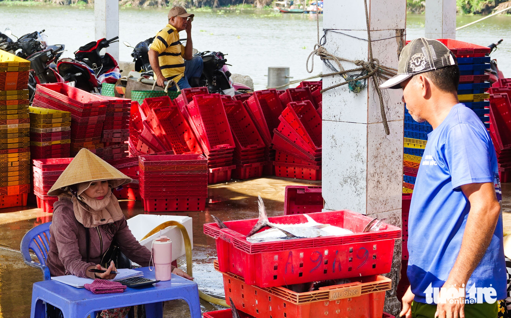 Tắc Cậu - Ảnh 5.