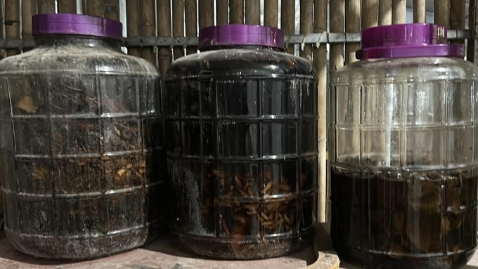 Mọi người không nên tự ý ngâm rượu, tránh nguy cơ ngộ độc, tổn thương đa cơ quan. Ảnh: Thu Hiền