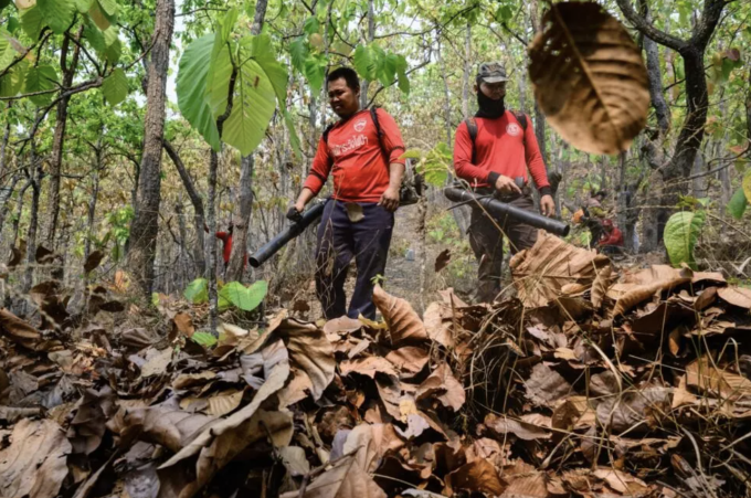 Các lính cứu hỏa tình nguyện sử dụng máy thổi lá để tạo ra các đường ngăn lửa cháy trong một khu rừng ở thị trấn Pai, miền Bắc Thái Lan, đầu tháng 4. Ảnh: ANTHONY WALLACE/AFP