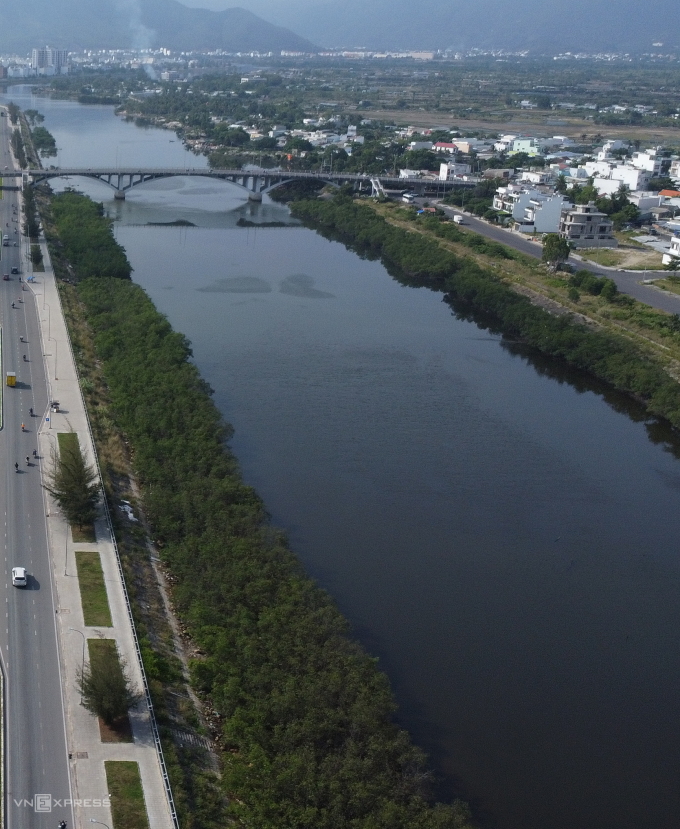Hàng cây mọc sát kè ăn ra bờ sông. Ảnh: Bùi Toàn