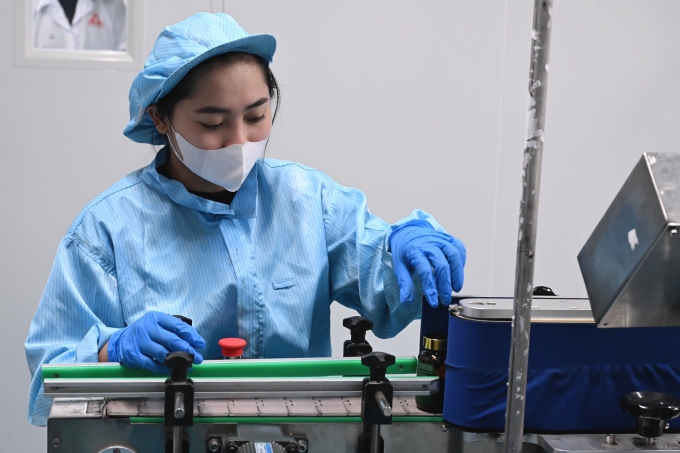 Công nhân trong dây chuyền chế biến sâm Ngọc Linh thành sản phẩm thương mại tại nhà máy của Trường Sinh group. Ảnh: Trọng Đạt