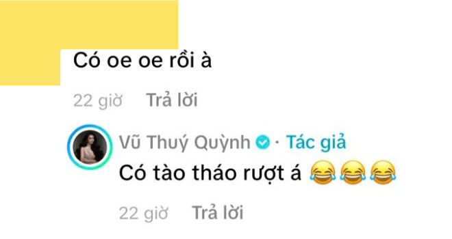 Vũ Thúy Quỳnh lên tiếng trước thông tin đang mang thai với bạn trai thiếu gia- Ảnh 2.